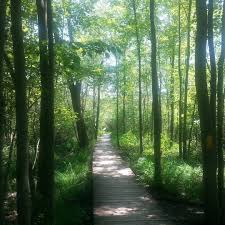 Getting Outdoors And Connecting With Nature Is Easier Than You Think Check Out This This Guide To London Ontari Nature Trail Places Of Interest Hiking Trails