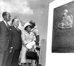 Image result for Dark Olive 1990 US Government