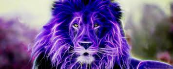 See high quality wallpapers follow the tag #hd lion wallpapers for mobile 1920x1080. Purple Lion Wallpapers Top Free Purple Lion Backgrounds Wallpaperaccess