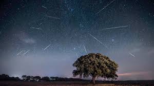Death toll climbs to 95 in florida condo collapse ap 'it's heartbreaking': What Time Is The Perseid Meteor Shower Tonight How To Watch Live Shooting Stars Live And Online From Australia In 2021