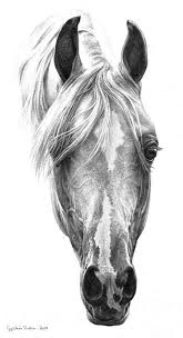 Pin By Khaled Dadi On Art Horse Art Drawing Horse Drawings Arabian Horse Art
