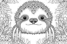 In case you don\'t find what you are looking for, use the top search bar to search again! Printable Coloring Pictures Www Robertdee Org