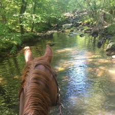 Maybe you would like to learn more about one of these? Bear Branch Horse Campground Home Facebook