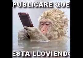 En rock & pop queremos que pases el frío y lo mojado que puede ser un día de lluvia con una buena risa. Para Matarse De La Risa Los Divertidos Memes Que Dejaron Las Lluvias En La Region Metropolitana Fotos El Quehaydecierto Cl Noticias De Copiapo Y Atacama