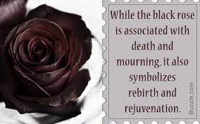 Pin On Quotes For Life