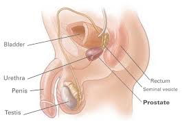 There's less pain, fewer complications and faster healing. Transurethral Resection Of The Prostate Turp Is The Surgical Removal Of Part Of The Prostate Gland It Is One Option Available To Relieve The Symptoms Of An Enlarged Prostate Or Other Benign