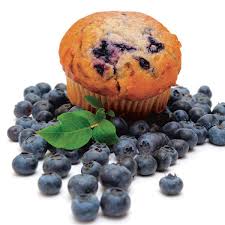 Recently, the popularity of the o'neal blueberry has waned as newer varieties have been introduced. Southern Highbush Blueberry O Neal Vaccinium Corymbosum My Garden Life