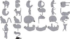 We hope that the following list of synonyms for the word ocelot we've listed any clues from our database that match your search. Types Of Cats Five Letters