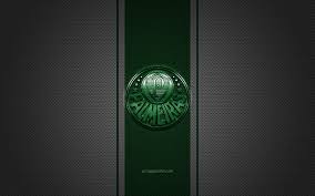H2h stats, prediction, live score, live odds & result in one place. Se Palmeiras Brazilian Football Club Serie A Green Logo Green Carbon Fiber Background Hd Wallpaper Peakpx
