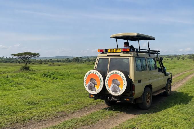 Private safari drive across the open grasslands of Kidepo Valley National Park