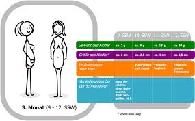 Check spelling or type a new query. 12 Schwangerschaftswoche 12 Ssw Fotus Fetus