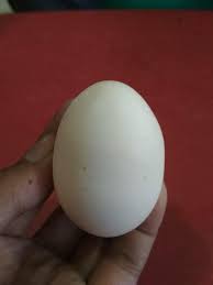 We would like to show you a description here but the site won't allow us. Mamfaat Telur Ayam Kampung Dan Olahan Tradisional Steemit