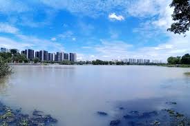 Jurong Lake District: Most Up-to-Date Encyclopedia, News & Reviews