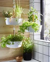 Hanging Plants And Plants In Pots By A Window In A Swedish Kitchen Hanging Plants Hanging Plants Indoor Hanging Plants Diy
