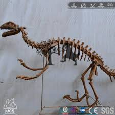 Maybe you would like to learn more about one of these? Skv001 Dinosaur Velociraptor Skeleton Fossil Replica Bone Sale Museum Exhibit Mcsdino Fossil Dinosaur Bones Velociraptor
