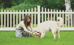 .companies in grants pass,oregon, with company name,address,telephone,fax,zip code,website etc.you can find more bussiness located at grants pass. Medford Fence Pros High Quality Fencing Medford Oregon