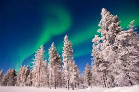 Finland) is one of the nordic countries in northern europe. Finland Tours And Holiday Packages Wild Frontiers
