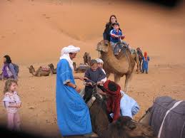If you are asking on how they survive in the desert, this is mainly because of the humps they have on their backs. Your Ultimate Guide To Travel In The Sahara Desert Experience It Tours