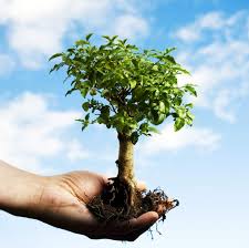 Debido a estos acontecimientos se celebra el 1 de mayo como día internacional de los trabajadores. 30 De Mayo Dia Del Arbol