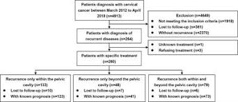 The treatment of cervical cancer depends on stage at diagnosis, along with a patient's age and general health. Frontiers Selection Of Treatment Regimens For Recurrent Cervical Cancer Oncology