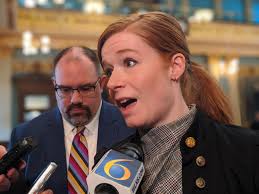 Michigan legislative primaries: Some incumbents lose to colleagues,  newcomers • Michigan Advance