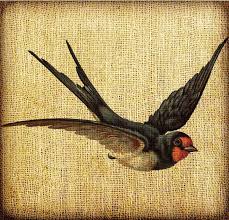 This Item Is Unavailable In 2020 Barn Swallow Swallow Tattoo Barn Swallow Tattoo