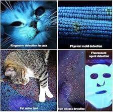 Amazon.com: Wood's Lamp pet cat,5W 365nm cat Ringworm Detector Woods Black  light FlashlightDoctor Pet Urine Detector,for Analyzing Skin Dog Cat Care  ...