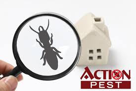 Affordable bed bugs treatment in london with 24/7 pest control ➡ bed bug control & removal by professional exterminators near you. What Pest And Rodent Control Services Are Available Action Pest Control Services