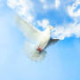 Profile Picture of Obituary information for Terry Benson - Hansen Mortuarieson Google