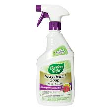 The safer brand ant and crawling insect killer effectively eliminates a wide variety of crawling insects, including ants, cockroaches, fleas, and bed bugs within 48 hours. Garden Safe Brand Insecticidal Soap Insect Killer Ready To Use 24 Ounce Amazon Ae