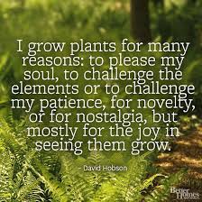 Garden Quotes Plants. QuotesGram via Relatably.com