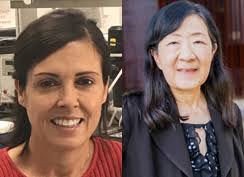 Translational Cardiovascular Research Center