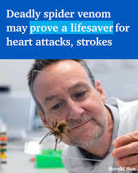It's one of the world's deadliest spiders, but now researchers expect the  funnel-web could save “thousands of lives” after uncovering the untapped  power of its venom. > https://bit.ly/3ZSQ8h3