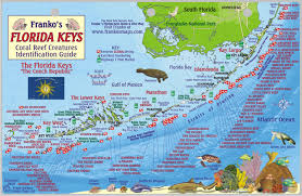 Florida Keys Fish Card Frankos Fabulous Maps Of Favorite