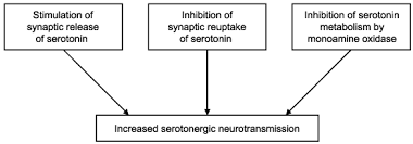 Different factors determine how long ecstasy stays in your body. The Dark Side Of Ecstasy Neuropsychiatric Symptoms After Exposure To 3 4 Methylenedioxymethamphetamine Karlsen 2008 Basic Amp Clinical Pharmacology Amp Toxicology Wiley Online Library