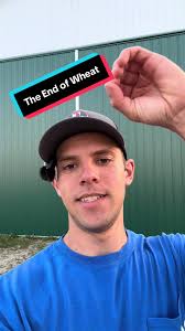 The End of Wheat Harvest Season Explained