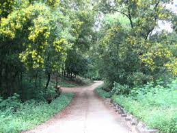 Today we will show you this video about the bankura green garden park. India Travel Forum West Bengal Murut Baha Eco Park Susunia Bankura