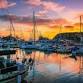 Thanksgiving Weekend Cruise to Dana Point event image