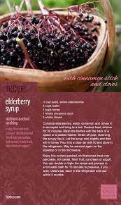 Recipes Elderberry Syrup From Mb Spice Co Elderberry Syrup Recipe Elderberry Recipes Syrup Recipe