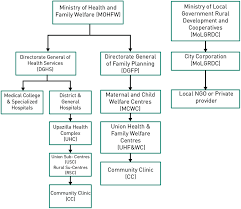 2 Health Service Delivery Organizational Structure In