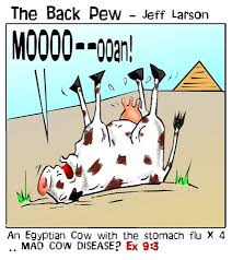 Cow Sick Backpew Cartoons Entertainment Part of a series of anatomical illustrations i completed for an animal nutrition text book. cow sick backpew cartoons