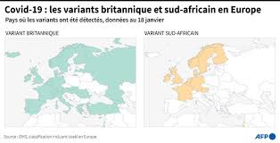 Le taux d'occupation lits de réanimation par région par julie m., rizhlaine f. Des Tests Pcr Exiges Aux Frontieres Francaises