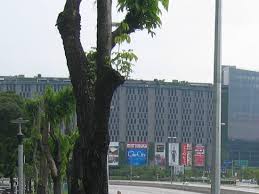 Shopee guarantee | free shipping | daily discover. One City Picture Of One City Subang Jaya Tripadvisor