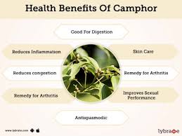Camphor has anti inflammatory, anti fungal and anti bacterial pr. Benefits Of Camphor And Its Side Effects Lybrate
