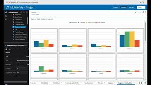 Oracle Dv Bar Charts Grid Custom Plugin Make Mobile Friendly Bar Charts