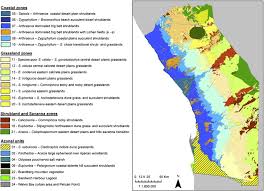 Image result for Arthraerua