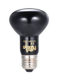 Parking light bulb socket (1). Shop Tungsten Heat Emitter Bulb With E27 Base Socket Holder Black Online In Dubai Abu Dhabi And All Uae