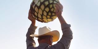Don Vicente Tequila Extra Añejo | Reservebar