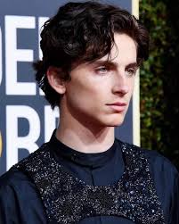 Timothee Chalamet Everybody The Perfect Human Inside And Out Timothee Chalamet Beautiful Boys Timmy T