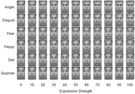 Microexpressions By Ankit Patel Infographic